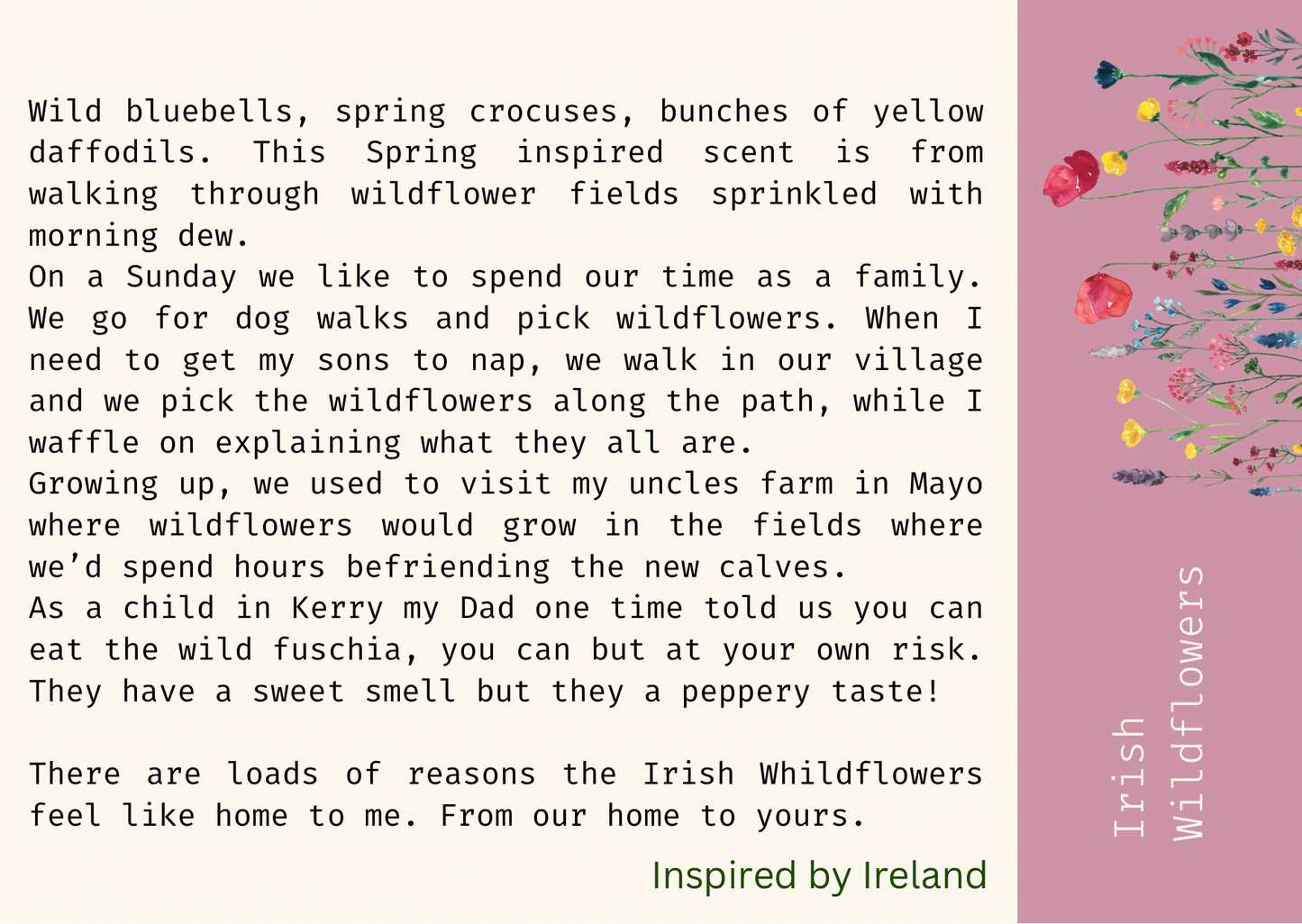 Inspired by Ireland Discovery Box